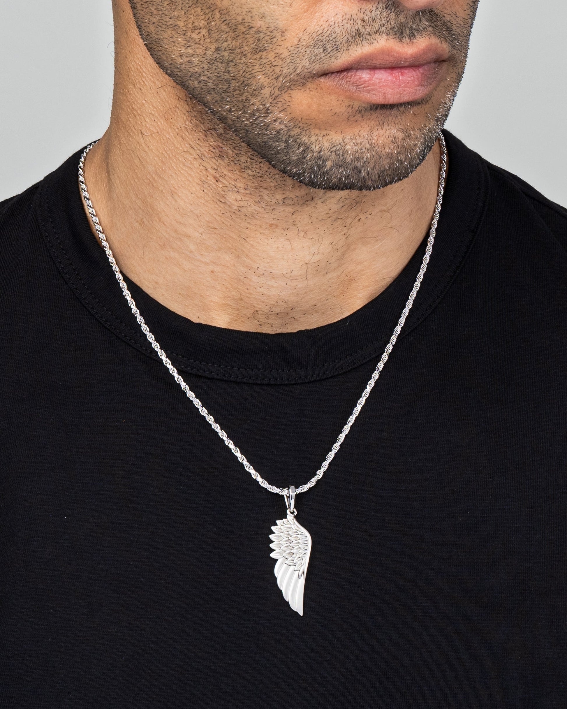 Feather Wing Silver Model1