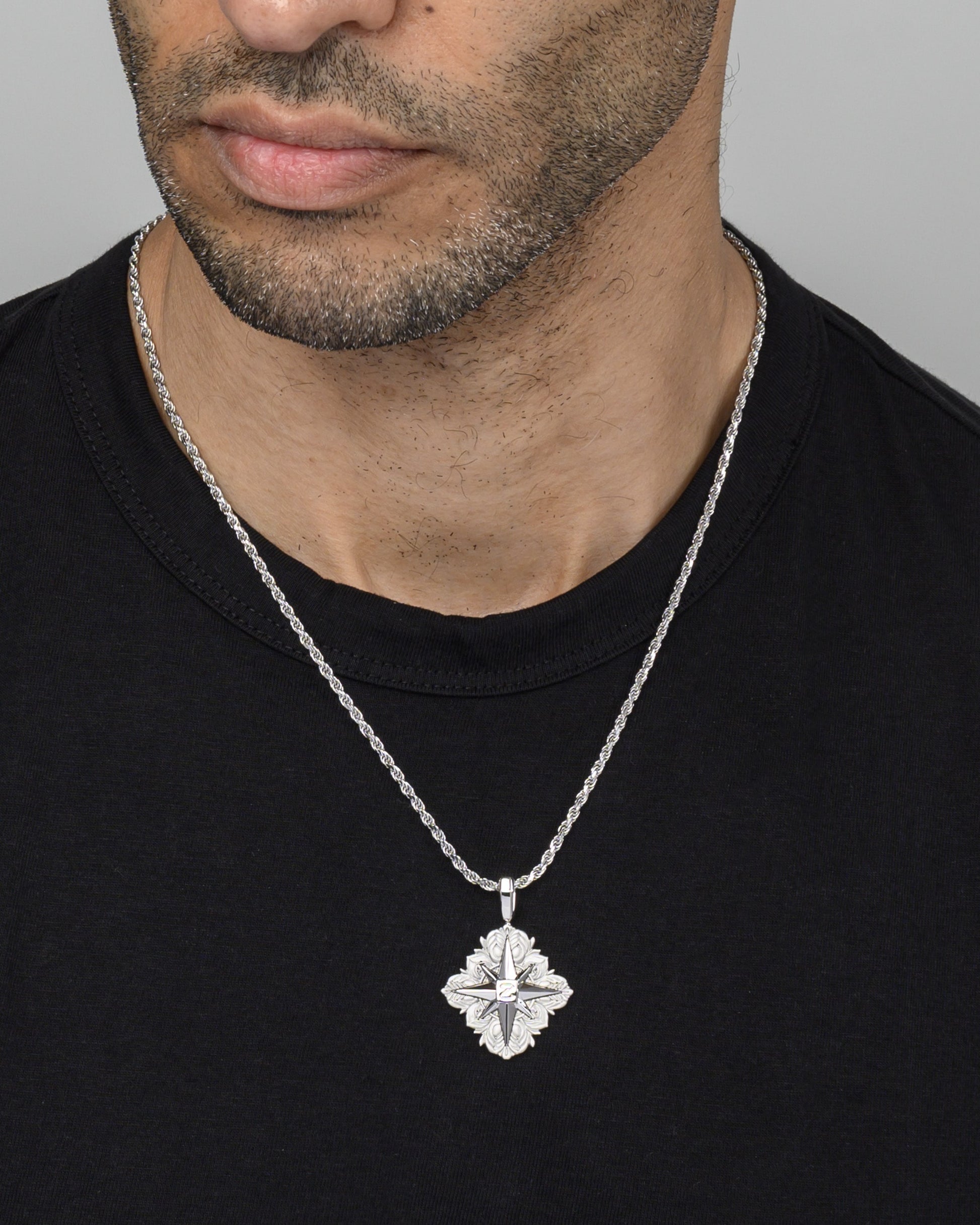 North Star Wonder Silver Model1