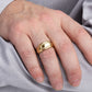 Signet Ice Ring Gold Model