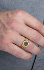 Signet Ridge Ring Gold Model